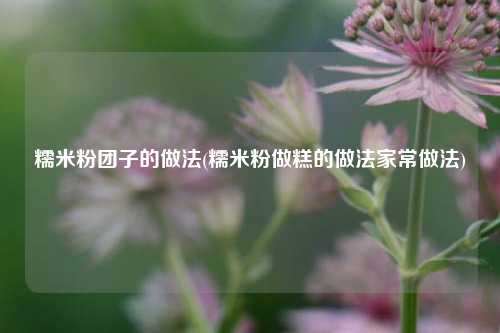 糯米粉团子的做法(糯米粉做糕的做法家常做法)