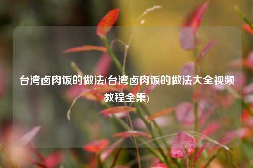台湾卤肉饭的做法(台湾卤肉饭的做法大全视频教程全集)