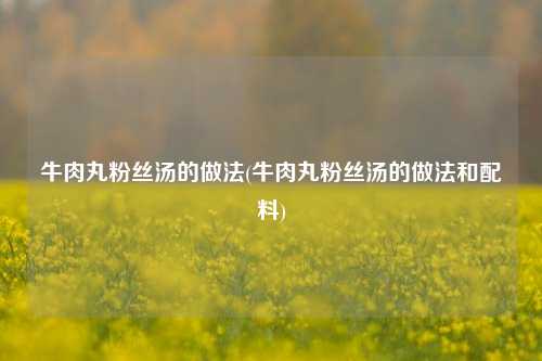 牛肉丸粉丝汤的做法(牛肉丸粉丝汤的做法和配料)