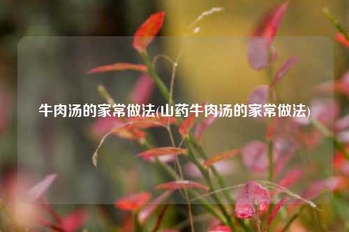 牛肉汤的家常做法(山药牛肉汤的家常做法)
