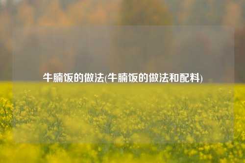 牛腩饭的做法(牛腩饭的做法和配料)