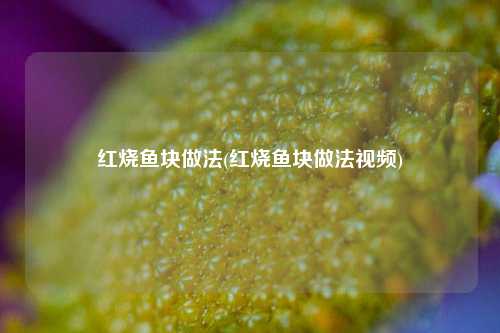 红烧鱼块做法(红烧鱼块做法视频)