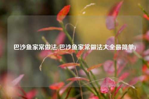 巴沙鱼家常做法(巴沙鱼家常做法大全最简单)