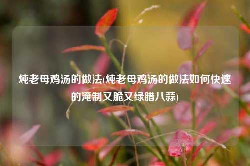 炖老母鸡汤的做法(炖老母鸡汤的做法如何快速的淹制又脆又绿腊八蒜)