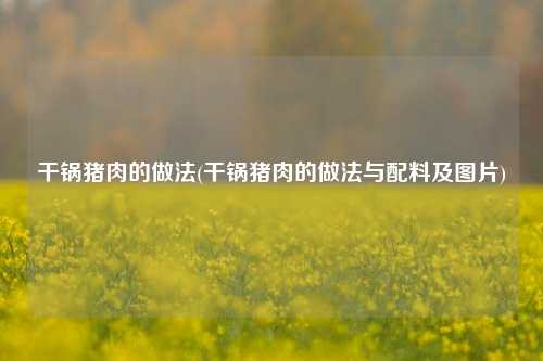 干锅猪肉的做法(干锅猪肉的做法与配料及图片)