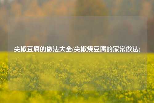 尖椒豆腐的做法大全(尖椒烧豆腐的家常做法)