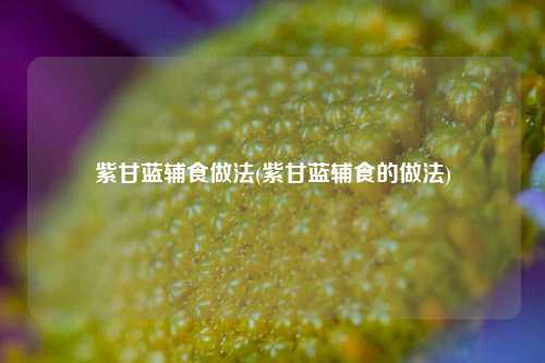 紫甘蓝辅食做法(紫甘蓝辅食的做法)