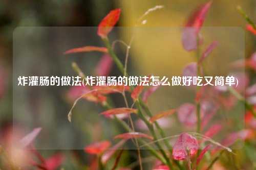 炸灌肠的做法(炸灌肠的做法怎么做好吃又简单)