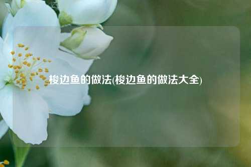 梭边鱼的做法(梭边鱼的做法大全)