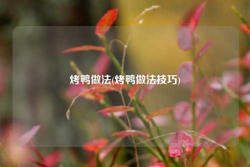 烤鸭做法(烤鸭做法技巧)