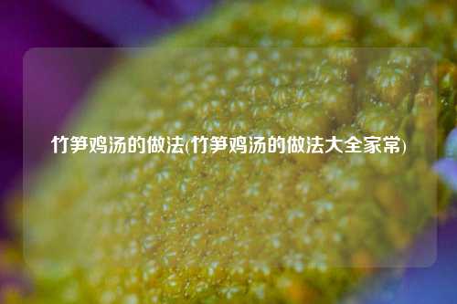 竹笋鸡汤的做法(竹笋鸡汤的做法大全家常)