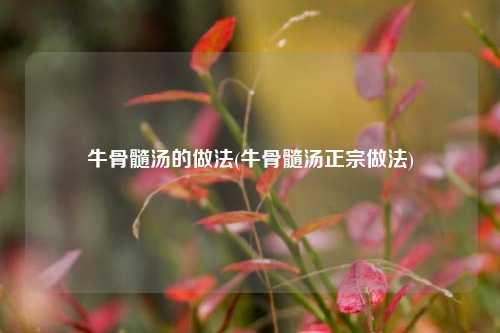 牛骨髓汤的做法(牛骨髓汤正宗做法)