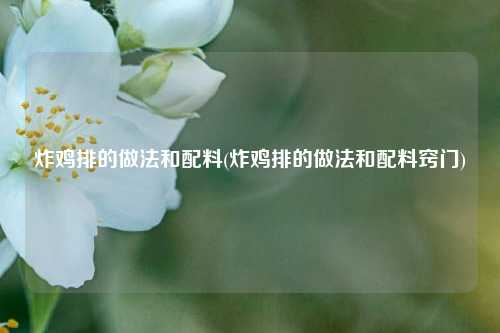 炸鸡排的做法和配料(炸鸡排的做法和配料窍门)