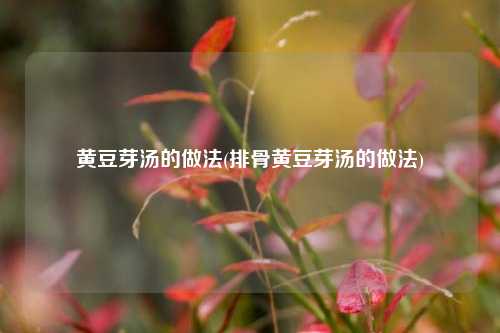 黄豆芽汤的做法(排骨黄豆芽汤的做法)