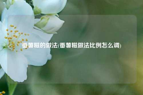 番薯糍的做法(番薯糍做法比例怎么调)