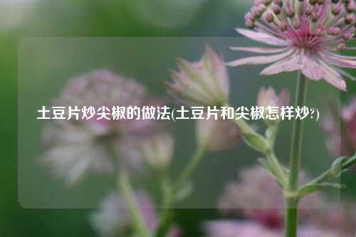 土豆片炒尖椒的做法(土豆片和尖椒怎样炒?)